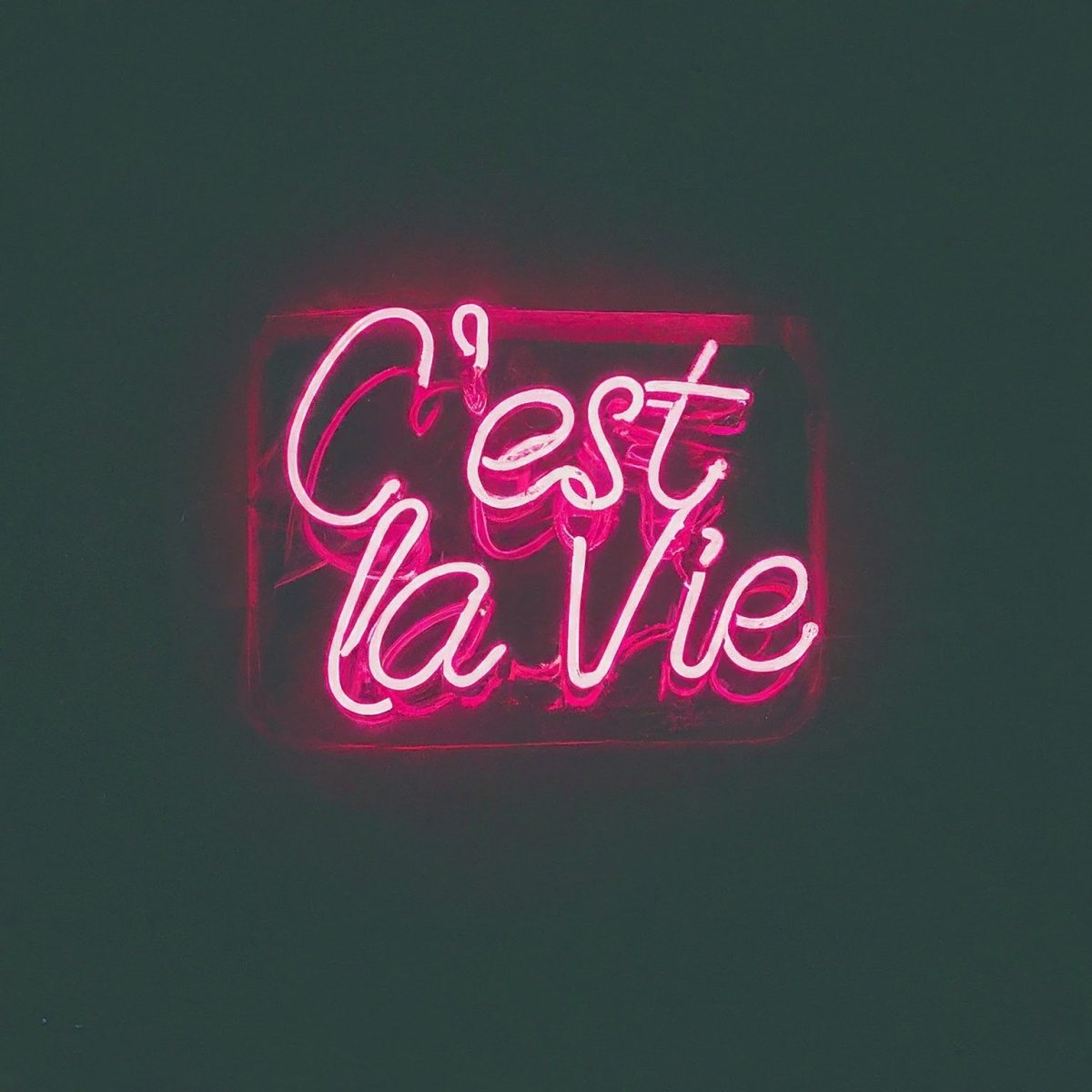C'est La Vie - Neonific - LED Neon Signs - 18" (46cm) - Pink